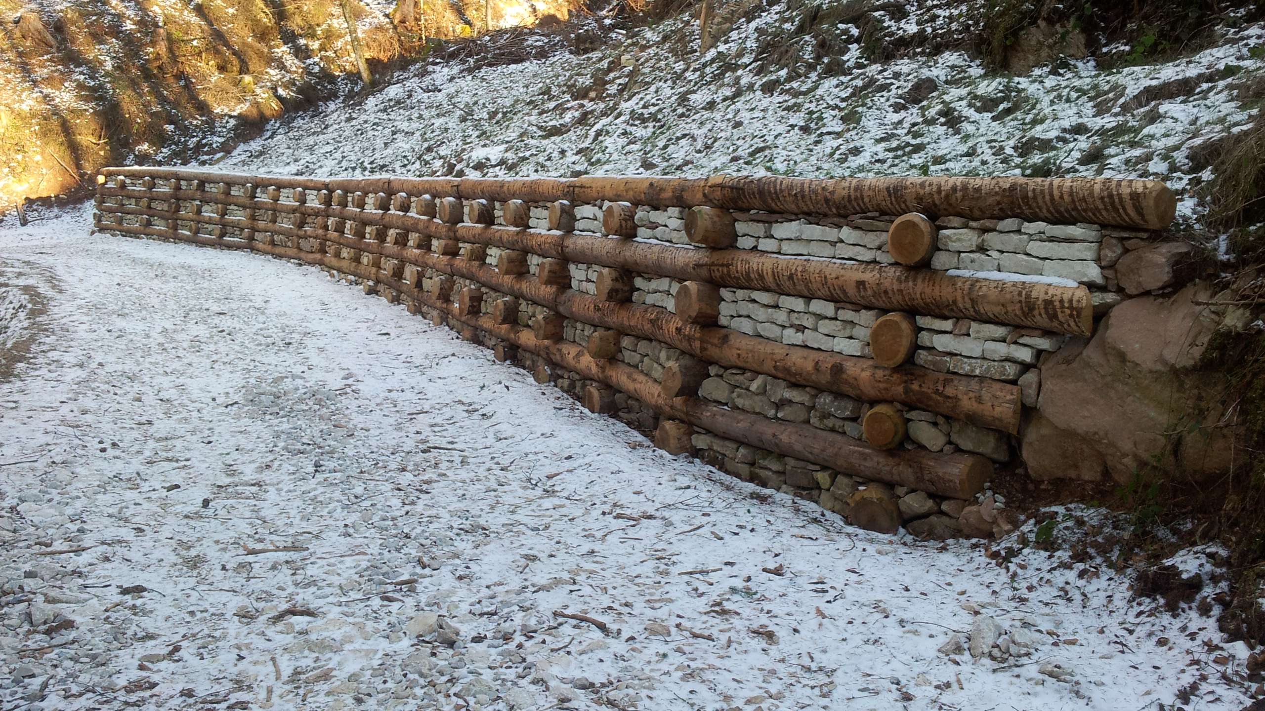 Gorza S.r.l. - Pali ripristino ambientale