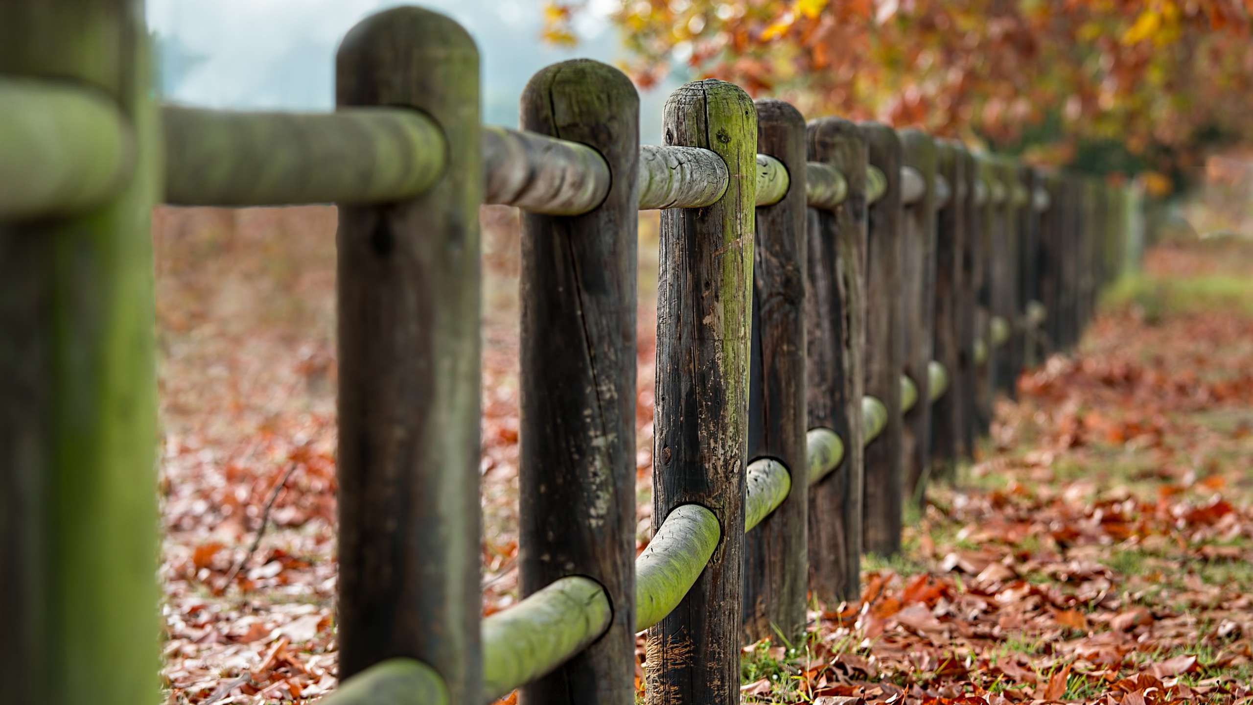 Gorza S.r.l. - Recinzioni in legno