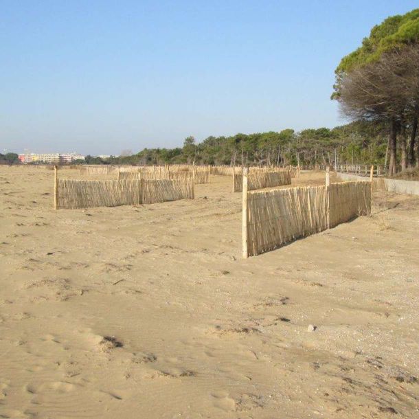 Gorza S.r.l. - Realizzazioni - Barriera frangivento - Bibione (VE)