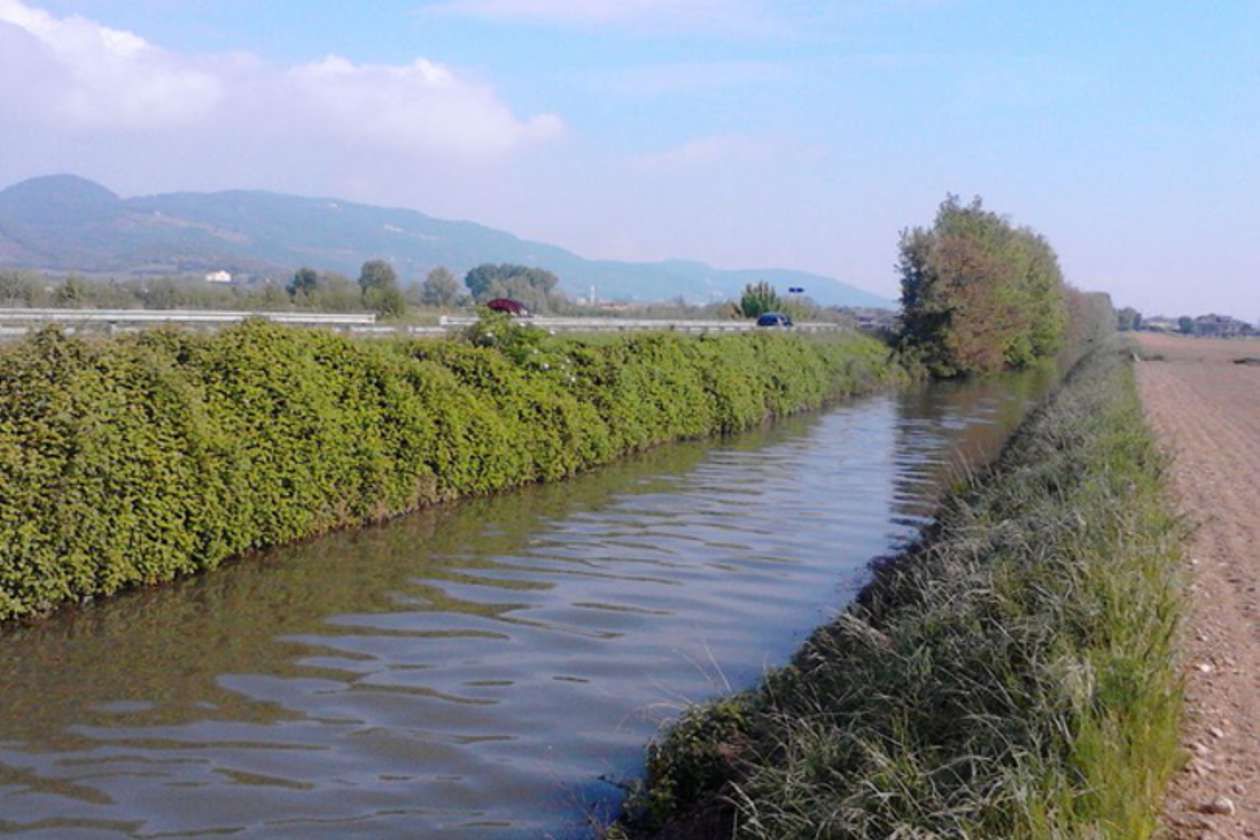 Gorza S.r.l. - Impiego dei pali - Ripristino ambientale e difesa idraulica