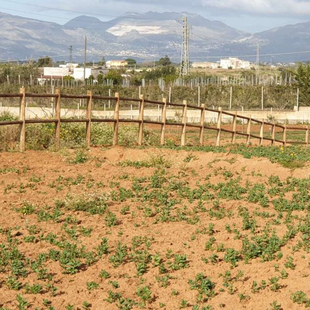 Gorza S.r.l. - Realizzazioni - Staccionata - Sicilia