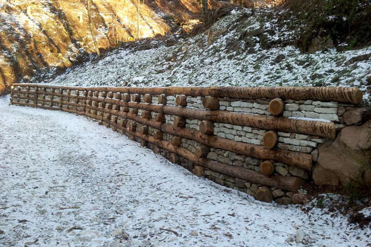 Gorza S.r.l. - Impiego dei pali - Ripristino ambientale e difesa idraulica