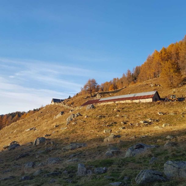 Gorza S.r.l. - Realizzazioni - Staccionata modello trentino